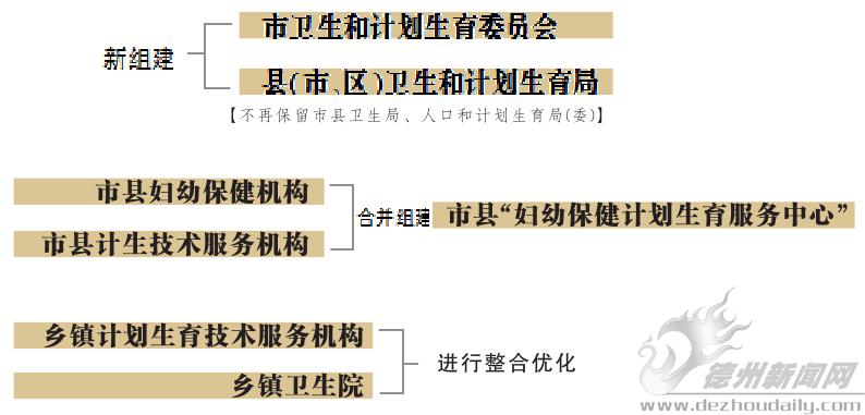 德城区计生委项目最新进展及未来展望